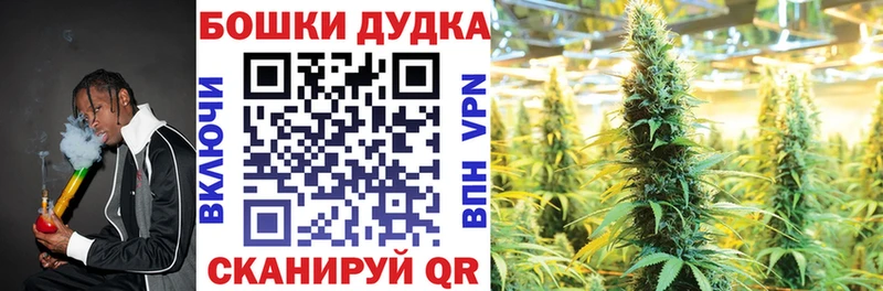 Бошки Шишки план  наркошоп  darknet какой сайт  Краснозаводск 